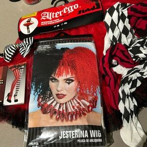 Court Jester Halloween costume